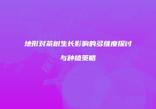 地形对茶树生长影响的多维度探讨与种植策略