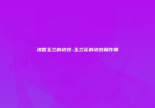 浓香玉兰的功效-玉兰花的功效和作用