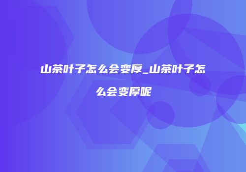 山茶叶子怎么会变厚_山茶叶子怎么会变厚呢