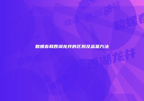 碧螺春和西湖龙井的区别及品鉴方法