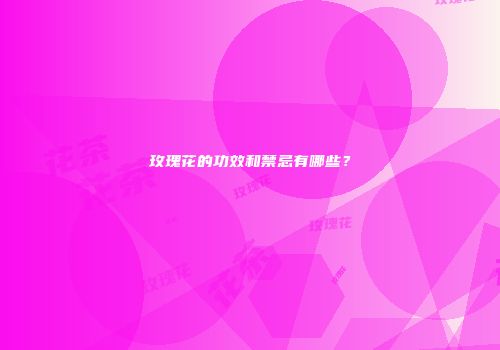 玫瑰花的功效和禁忌有哪些？
