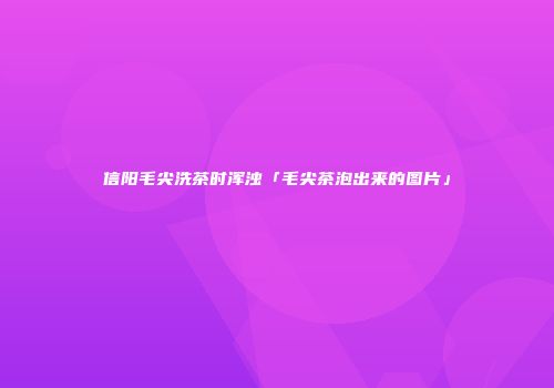 信阳毛尖洗茶时浑浊「毛尖茶泡出来的图片」