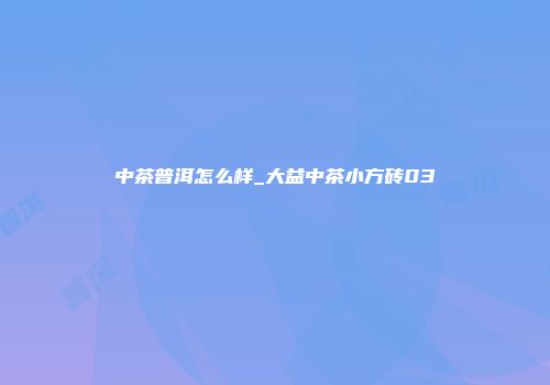 中茶普洱怎么样_大益中茶小方砖03