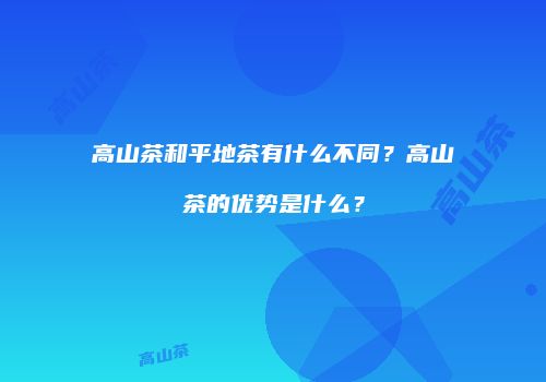 高山茶和平地茶有什么不同？高山茶的优势是什么？
