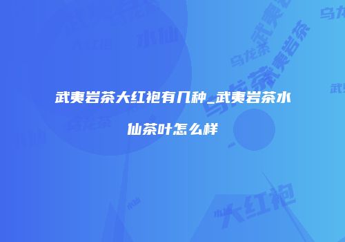 武夷岩茶大红袍有几种_武夷岩茶水仙茶叶怎么样