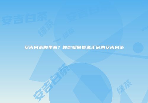 安吉白茶哪里有？教你如何挑选正宗的安吉白茶