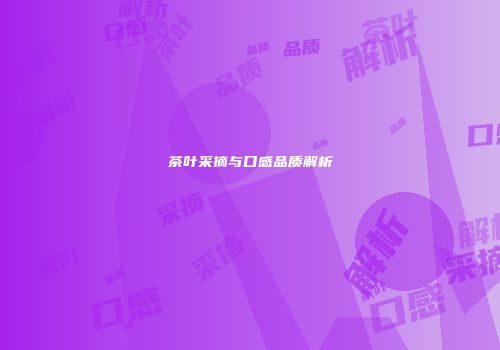茶叶采摘与口感品质解析