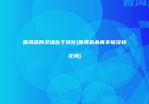 普洱茶的灵魂在于转化(普洱茶杀青不够没转化吗)