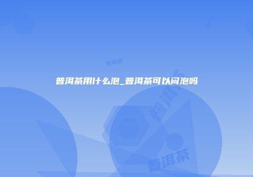 普洱茶用什么泡_普洱茶可以闷泡吗