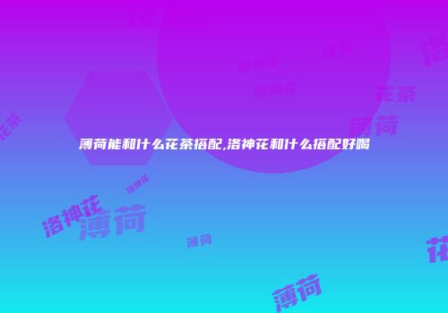 薄荷能和什么花茶搭配,洛神花和什么搭配好喝