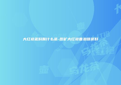 大红袍泥料喝什么茶-原矿大红袍壶泡啥茶好