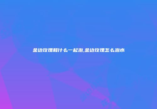 金边玫瑰和什么一起泡,金边玫瑰怎么泡水