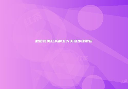 泡出完美红茶的五大关键步骤解析