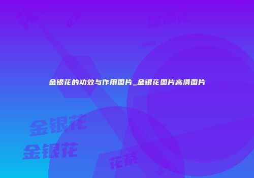金银花的功效与作用图片_金银花图片高清图片