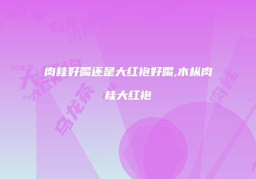 肉桂好喝还是大红袍好喝,木枞肉桂大红袍