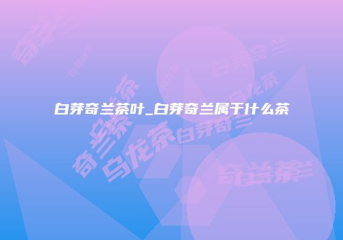 白芽奇兰茶叶_白芽奇兰属于什么茶