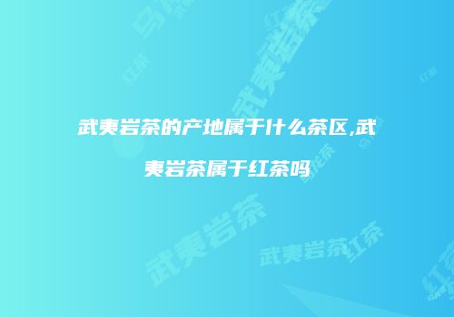 武夷岩茶的产地属于什么茶区,武夷岩茶属于红茶吗