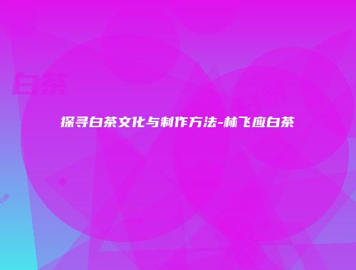 探寻白茶文化与制作方法-林飞应白茶