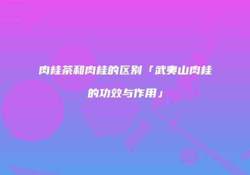 肉桂茶和肉桂的区别「武夷山肉桂的功效与作用」
