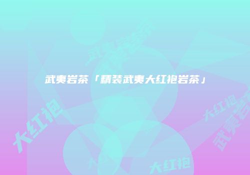 武夷岩茶「精装武夷大红袍岩茶」