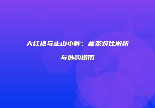 大红袍与正山小种：茗茶对比解析与选购指南
