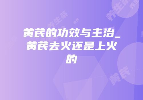 黄芪的功效与主治_黄芪去火还是上火的