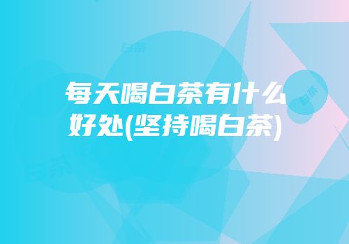 每天喝白茶有什么好处(坚持喝白茶)