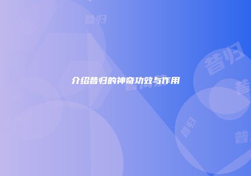 介绍昔归的神奇功效与作用