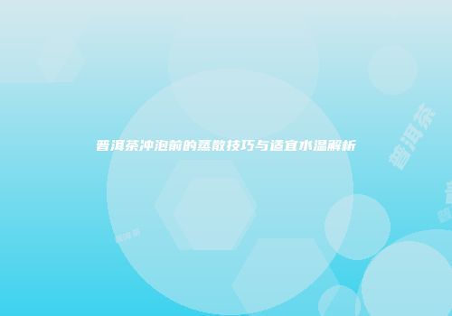 普洱茶冲泡前的蒸散技巧与适宜水温解析