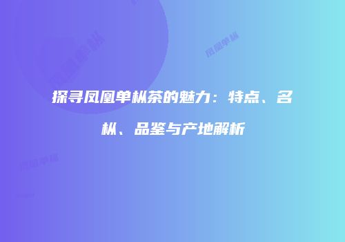 探寻凤凰单枞茶的魅力：特点、名枞、品鉴与产地解析