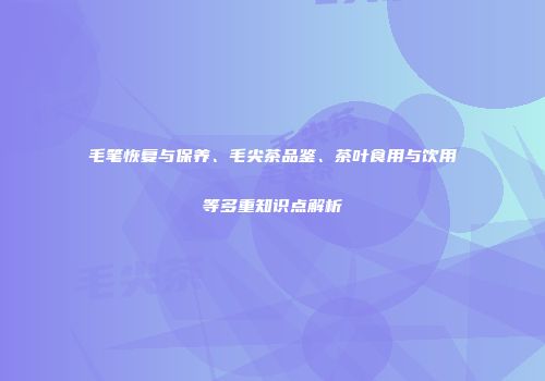 毛笔恢复与保养、毛尖茶品鉴、茶叶食用与饮用等多重知识点解析