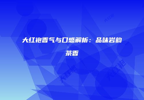 大红袍香气与口感解析：品味岩韵茶香