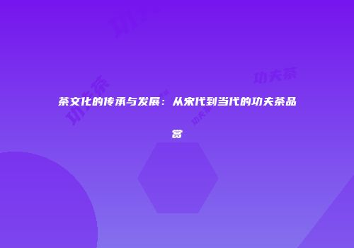 茶文化的传承与发展：从宋代到当代的功夫茶品赏