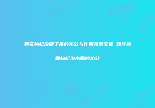 菊花枸杞决明子茶的功效与作用及禁忌症_西洋参和枸杞泡水喝的功效