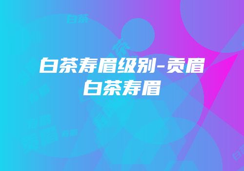 白茶寿眉级别-贡眉白茶寿眉