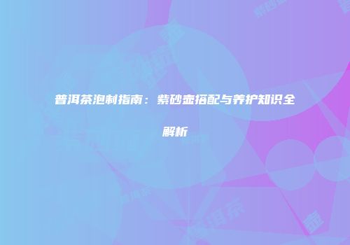 普洱茶泡制指南：紫砂壶搭配与养护知识全解析