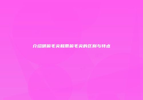 介绍明前毛尖和雨前毛尖的区别与特点