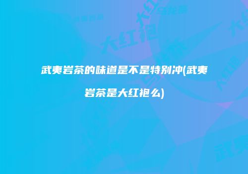 武夷岩茶的味道是不是特别冲(武夷岩茶是大红袍么)