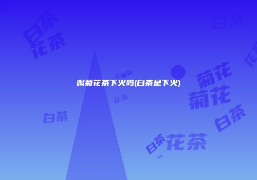 喝菊花茶下火吗(白茶是下火)