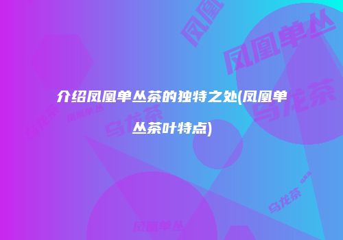介绍凤凰单丛茶的独特之处(凤凰单丛茶叶特点)