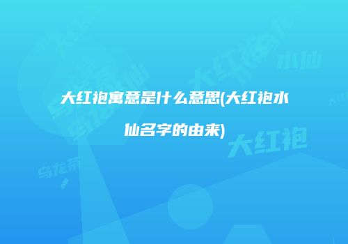 大红袍寓意是什么意思(大红袍水仙名字的由来)