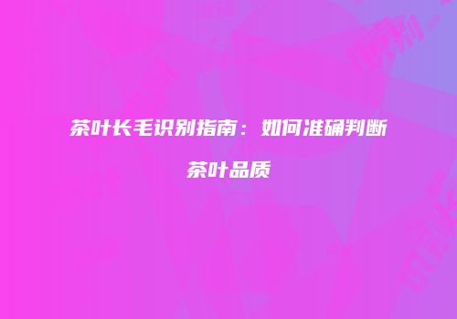 茶叶长毛识别指南：如何准确判断茶叶品质