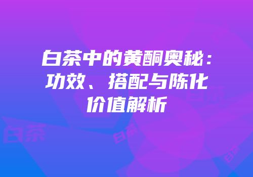 白茶中的黄酮奥秘：功效、搭配与陈化价值解析