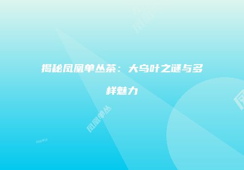 揭秘凤凰单丛茶：大乌叶之谜与多样魅力