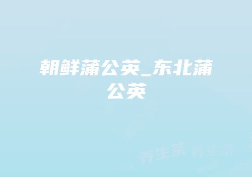 朝鲜蒲公英_东北蒲公英