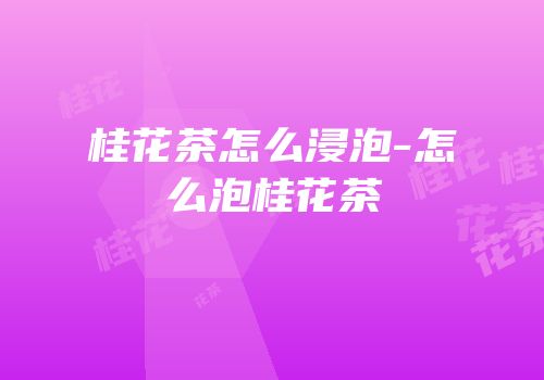 桂花茶怎么浸泡-怎么泡桂花茶
