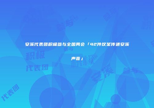 安溪代表团积极参与全国两会「42件议案传递安溪声音」