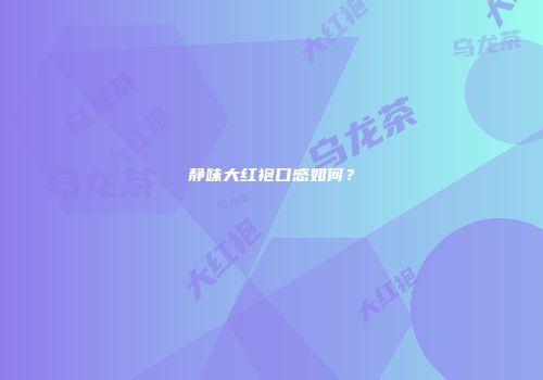 静味大红袍口感如何？