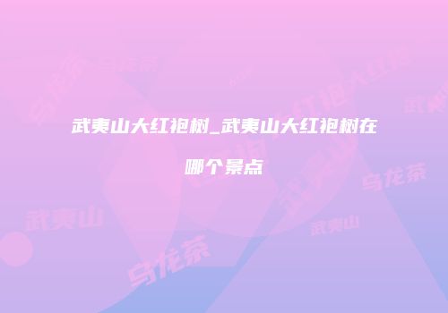 武夷山大红袍树_武夷山大红袍树在哪个景点