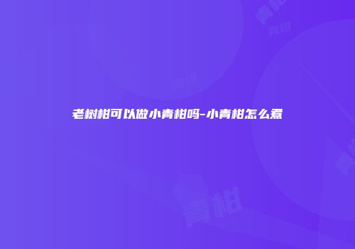 老树柑可以做小青柑吗-小青柑怎么煮